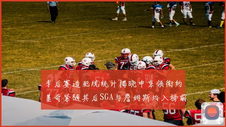 季后赛造犯规统计揭晓申京领衔约基奇紧随其后SGA与詹姆斯均入榜前十
