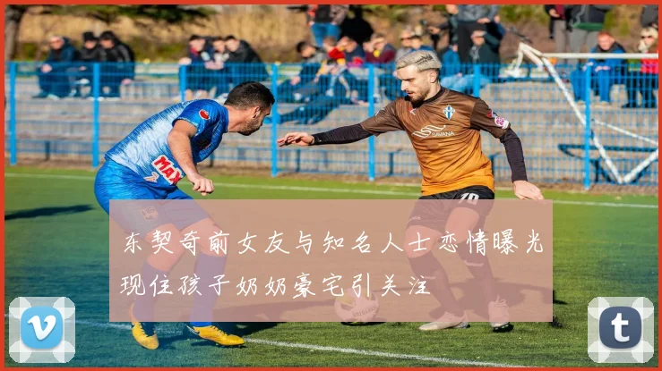 东契奇前女友与知名人士恋情曝光现住孩子奶奶豪宅引关注